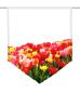 Preview: Tulpenfluss blanco, Scheibenhänger spitz